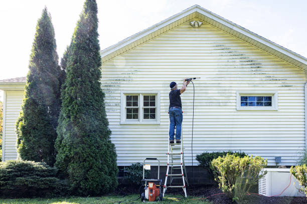 Best Animal Enclosure Cleaning  in Deerfield, MI